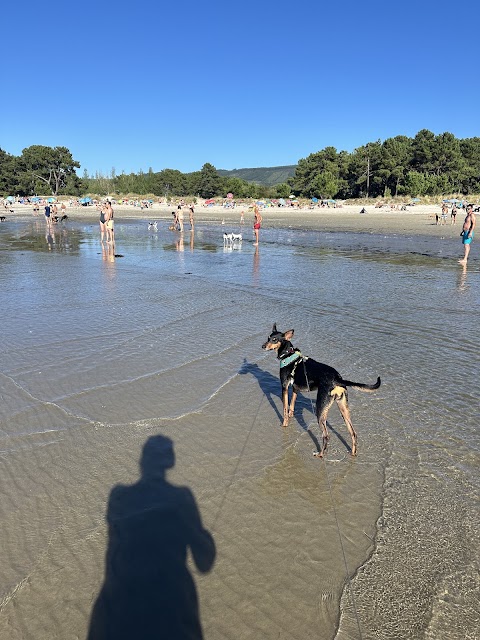 Playa Canina de Cabanas, parque en Pontedeume