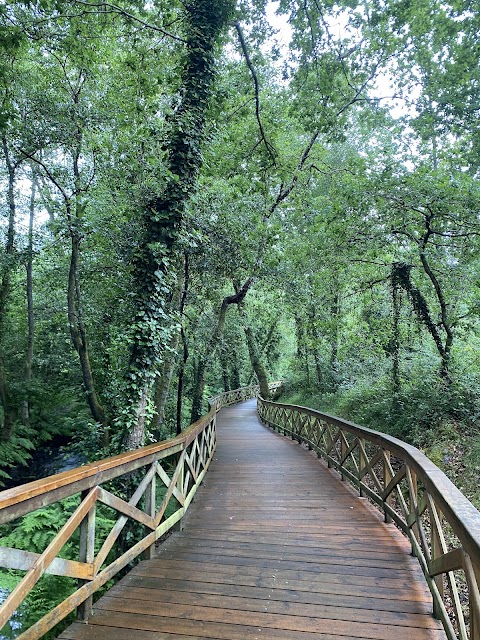 Paseo fluvial del río Anllóns, parque en A Laracha , (Paiosaco)