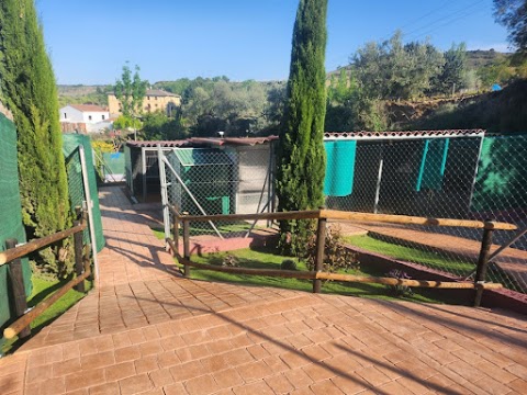 AbcCanino - Centro Canino, parque en Cenicero