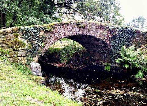 Ponte Romana, monumento en Castro de Ribeiras de Lea