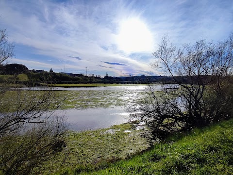Parque de las Marismas, parque en Astillero