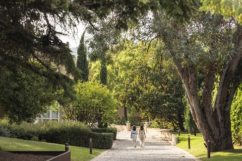 Remata en Bodegas Marqués de Cáceres, para comer en Cenicero