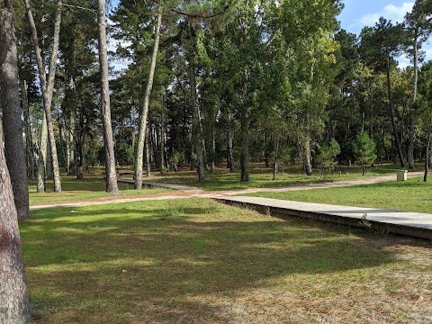 Piñeiral da praia da Madalena, parque en Pontedeume