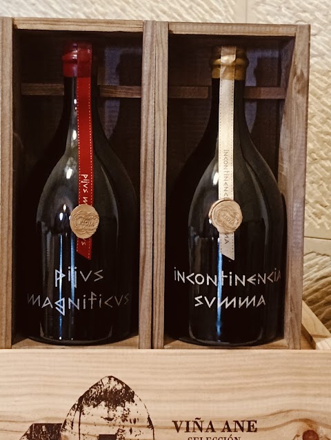 Bodega Viña Ane "Monge - Garbati", lugar de interés en San Vicente de la Sonsierra