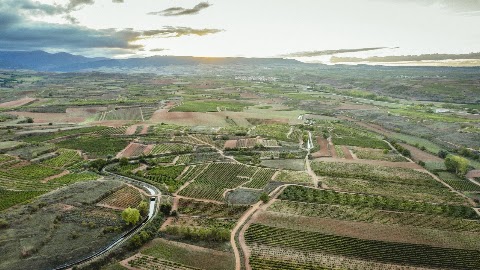 Bodegas Viñedos El Pacto, lugar de interés en Huércanos