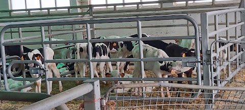 Mercado Gandeiro de Castro de Ribeiras de Lea, mercado de abastos en Castro de Ribeiras de Lea