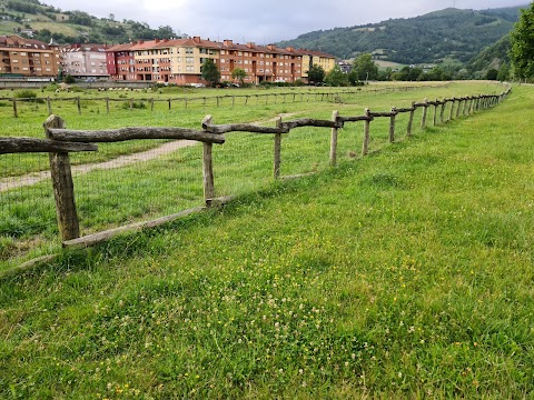 Parque de Perros de Pola de Laviana, parque en Pola de Laviana