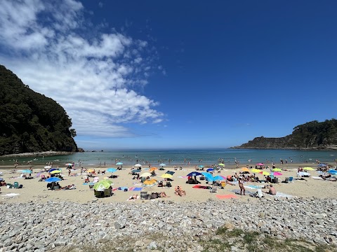 Playa de San Pedro de La Ribera, playa en Soto de Luiña
